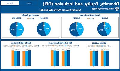 多样性、公平和包容 